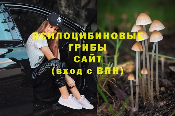 кокаин премиум Алексин
